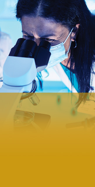 Doctor doing labwork