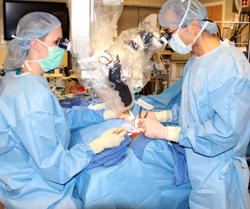 Dr. Snyder-Warwick and Dr. Tung performing the microsurgical portion of a facial animation procedure