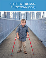 SDR Brochure