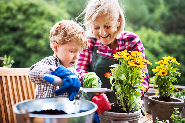 Grandma and grandson planting together