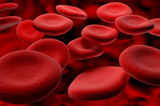 blood cells