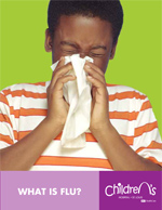 What Is Flu brochure