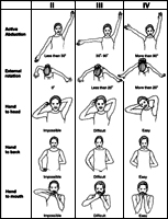 معيار المطرقة