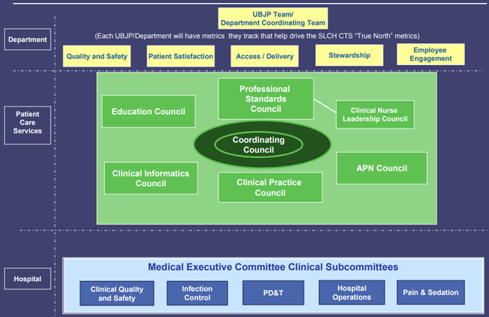 Departmental, Patient Care Services and Hospital Governing Structure