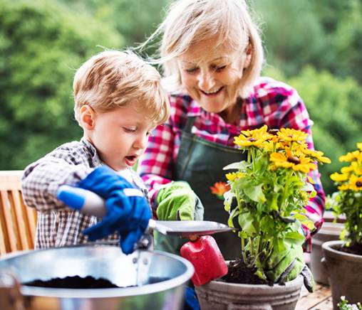 Grandma and grandson planting together