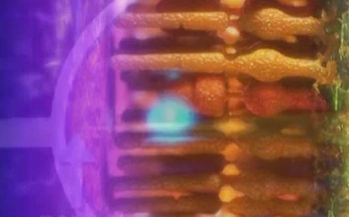 Near/Far Sightedness