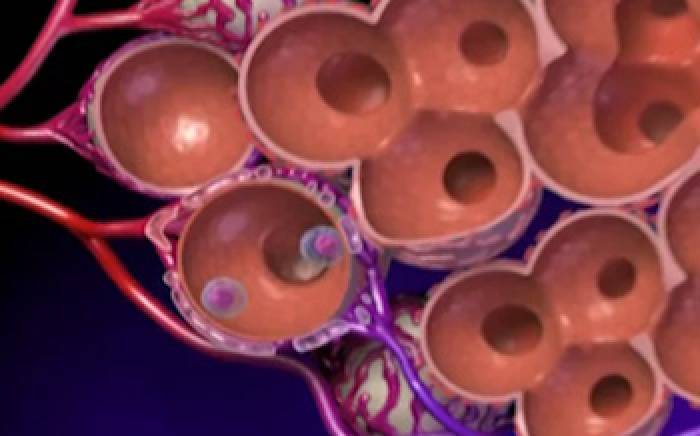 Upper Respiratory Infection