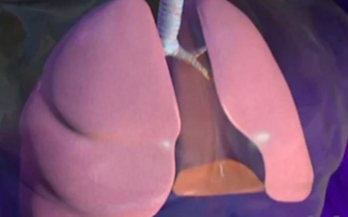 Medical Animation: Inhalers