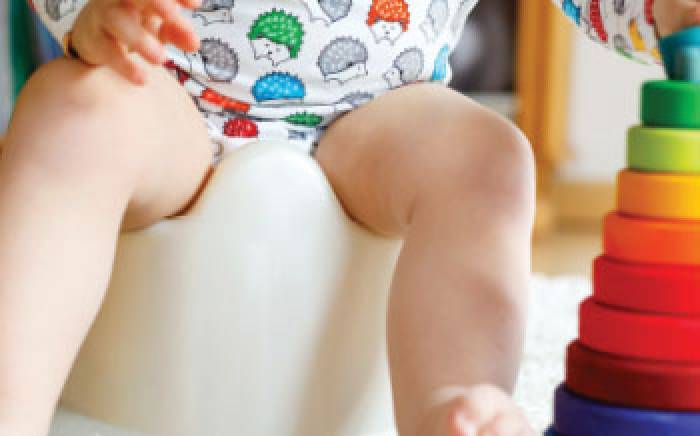 Potty Training Pointers