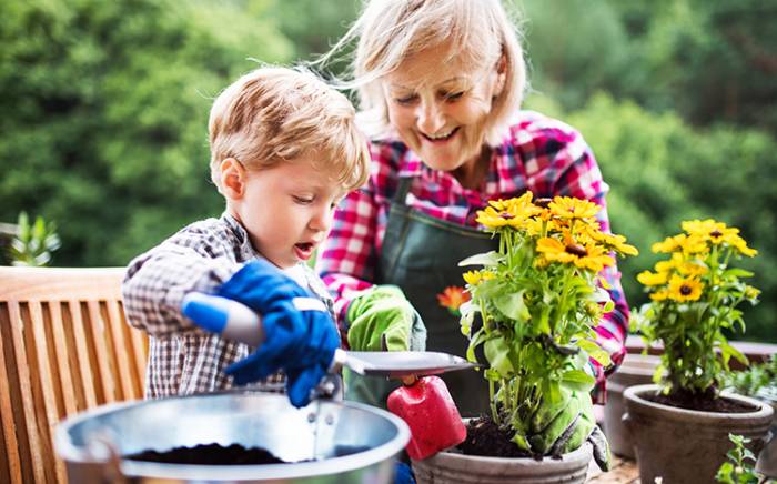 Grandma and grandson planting together
