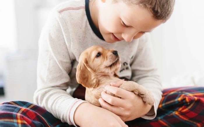 What to Consider Before Getting a Child a Pet