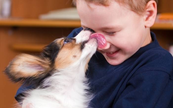 Having a dog can help AND hurt your child. Are you pro dog?