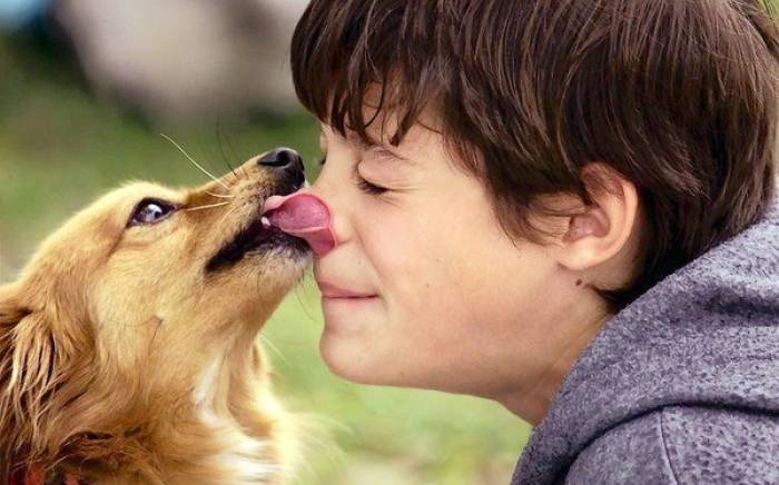 Kiss your dog; kiss your baby – but not together!