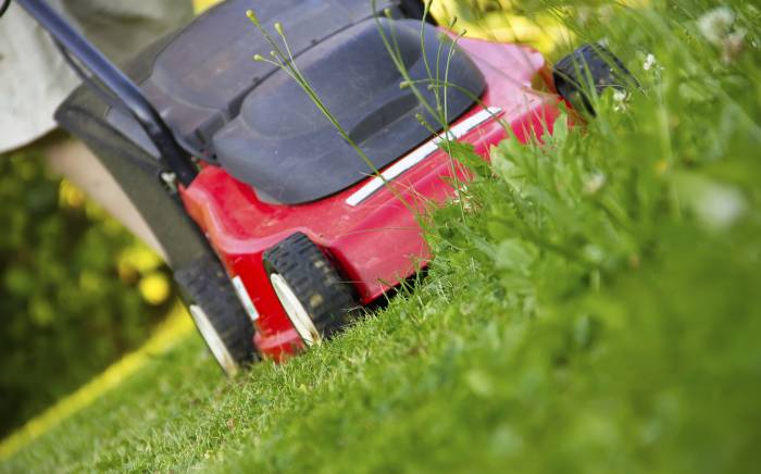 Lawn care safety: Protecting the most important thing in your yard
