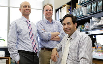 Jeffrey Bednarski, MD and colleagues